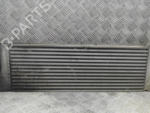 Used Intercooler Intercooler RENAULT SCÉNIC II (JM0/1_) 1.9 dCi (JM0G, JM12, JM1G, JM2C) (120 hp) 23055840 23055840
