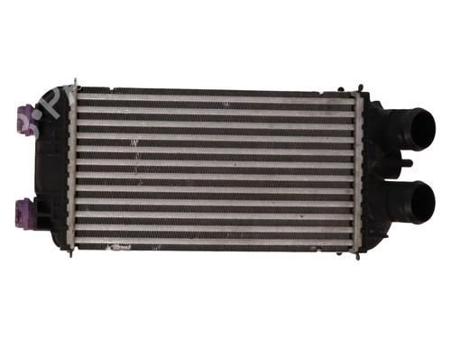 intercooler-ds-ds-3-ds-3-crossback-ur_-uc_-uj_-2018-37741260 main image