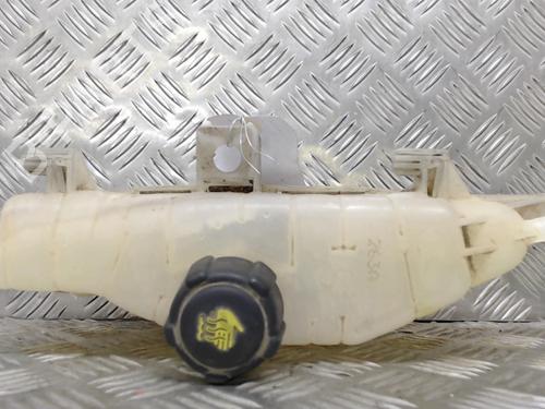 Used Expansion tank RENAULT CLIO III (BR0/1, CR0/1) 1.5 dCi (C/BR0G, C/BR1G) (68 hp) 24828019
