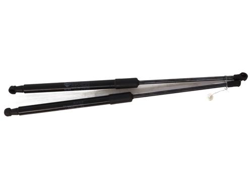 Tailgate lift support CITROËN C3 III (SX) 1.5 BlueHDi 100 (SXYHYP, SXYHTU) | BP29449970C138 