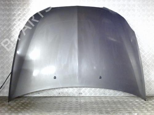 Hood LANCIA DELTA III (844_) 1.6 D Multijet (844.AXC11, 844.AXC1A) | BP23833868C1 