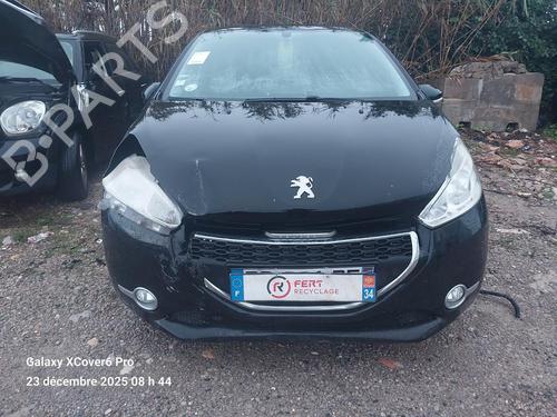 Left rear door PEUGEOT 208 I (CA_, CC_) 1.4 HDi | BP32316883C4 