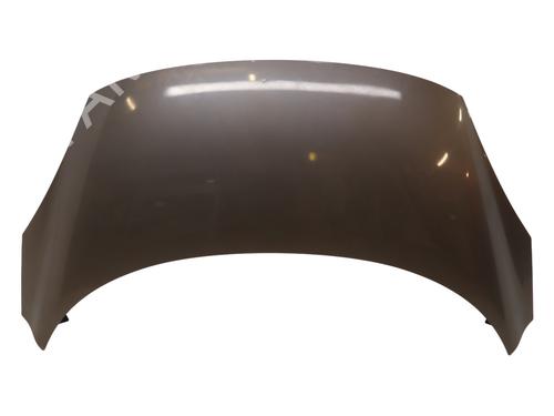 Used Hood RENAULT SCÉNIC III (JZ0/1_) 1.5 dCi (110 hp) 23054036