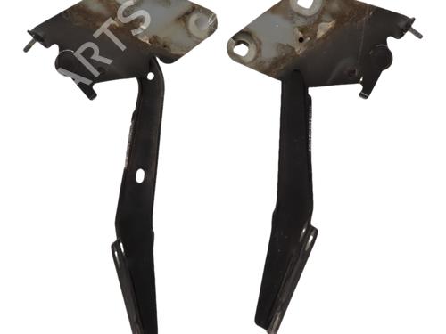 hingedoor-check-strap-renault-fluence-l3_-2010-36097489 main image