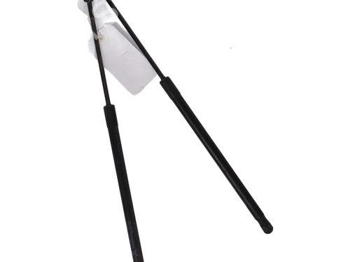 tailgate-lift-support-mazda-2-de_-dh_-2007-2008-2009-2010-2011-2012-2013-2014-2015-30788066 main image