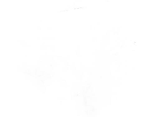 Used Left front window switch Left front window switch MERCEDES-BENZ SPRINTER 3,5-t Van (B907, B910) 315 CDI RWD (907.631, 907.633, 907.635, 907.637) (150 hp) 31252573 31252573