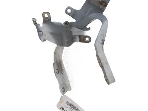 Hinge/Door check strap RENAULT CLIO IV (BH_) 1.5 dCi 90 | BP25124003C146 