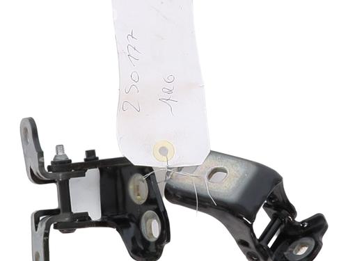 Hinge/Door check strap RENAULT SCENIC E-TECH PHASE I EV87 | BP28332153C146 