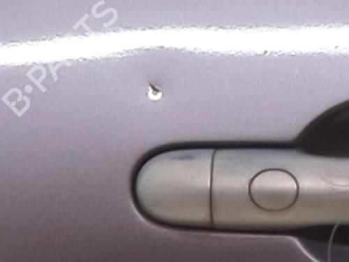 Right rear door RENAULT MEGANE II (BM0/1_, CM0/1_) 1.9 dCi | BP23432852C5 