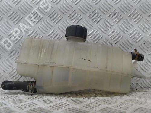 Used Expansion tank RENAULT CLIO III (BR0/1, CR0/1) 1.5 dCi (BR17, CR17) (86 hp) 23055457