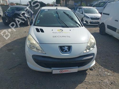 Right front door PEUGEOT 206+ (2L_, 2M_) 1.4 HDi eco 70 | BP23059237C3