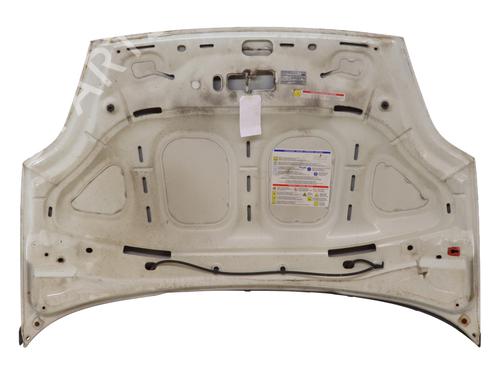 Used Hood Hood FIAT PUNTO EVO (199_) 1.2 (69 hp) 23206842 23206842