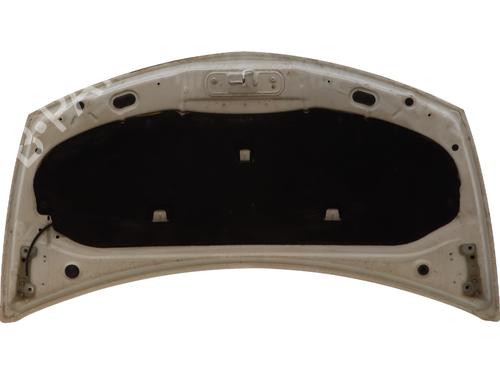 hood-renault-clio-iii-br01-cr01-2005-2006-2007-2008-2009-2010-2011-2012-2013-2014-30106091 main image