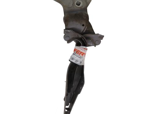 Hinge/Door check strap RENAULT CLIO III (BR0/1, CR0/1) 1.2 16V Hi-Flex (BR1U, CR1U) | BP29340160C146 