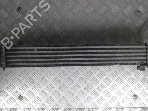 Used Intercooler Intercooler CITROËN NEMO MPV 1.4 HDi (68 hp) 23058125 23058125