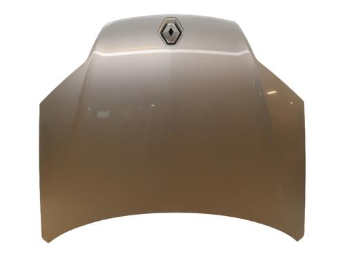 Used Hood RENAULT LAGUNA III (BT0/1) 2.0 dCi (BT07, BT0J, BT14, BT1A, BT1S) (131 hp) 29007257