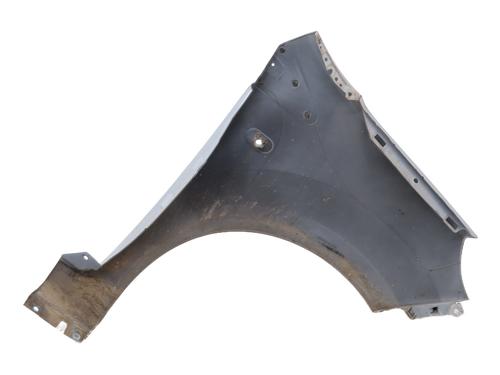 Left front fenders RENAULT TWINGO II (CN0_) 1.5 dCi (CN0E) | BP29119864C41 