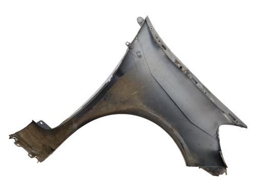 Left front fenders RENAULT CLIO III (BR0/1, CR0/1) 1.5 dCi | BP23835400C41 