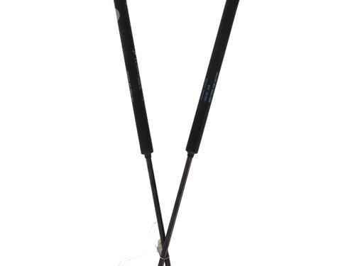 Gassdemper Bakluke LANCIA YPSILON (843_) 1.3 JTD (843.AXD11, 843.AXD1A) (70 hp) 30817316