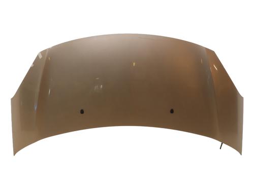 hood-citroen-c3-ii-sc_-2009-23832612 main image