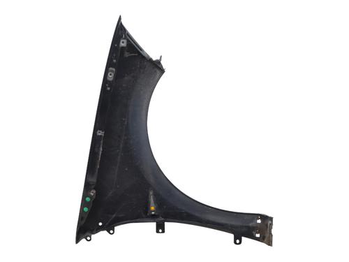 Left front fenders RENAULT MEGANE II (BM0/1_, CM0/1_) 2.0 dCi (BM1K, CM1K) | BP30862243C41