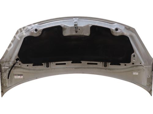 hood-citroen-c3-ii-sc_-2009-40012269 main image