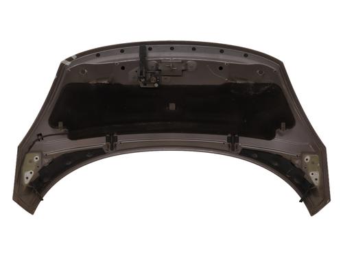 Hood RENAULT SCÉNIC III (JZ0/1_) 1.5 dCi | BP23054036C1