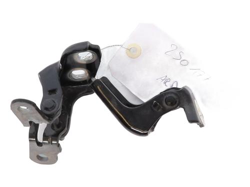 Hinge/Door check strap RENAULT SCENIC E-TECH PHASE I EV87 804002829R