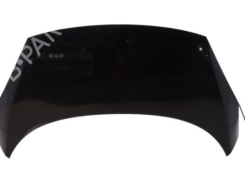 Used Hood RENAULT SCÉNIC III (JZ0/1_) 1.5 dCi (110 hp) 25892958