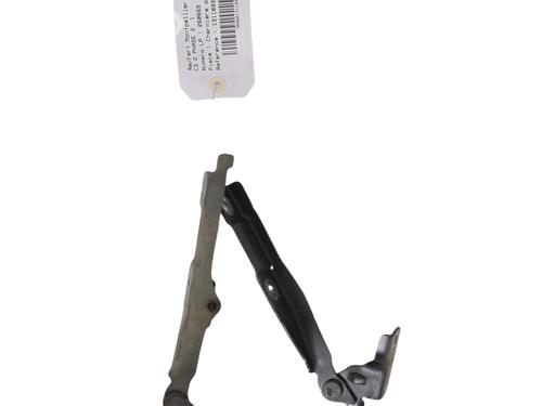 hingedoor-check-strap-citroen-c3-ii-sc_-2009-38453886 main image