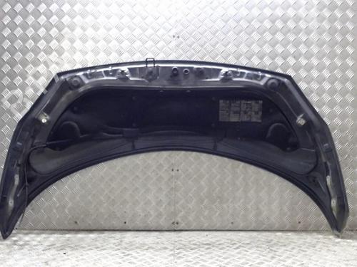 Hood RENAULT GRAND SCÉNIC II (JM0/1_) 1.9 dCi (JM14) | BP23055251C1 
