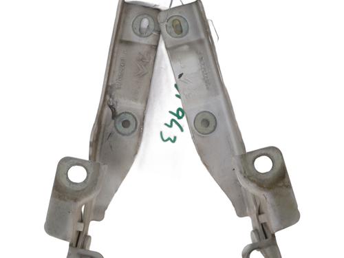 hingedoor-check-strap-citroen-ds3-sa_-2009-2010-2011-2012-2013-2014-2015-2016-29863264 main image