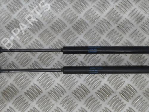 Used Tailgate lift support RENAULT MEGANE III Hatchback (BZ0/1_, B3_) 1.5 dCi (106 hp) 23059937