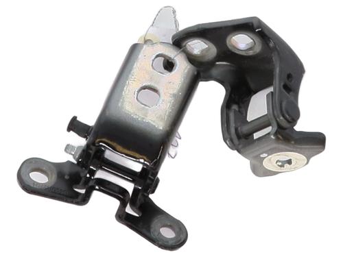 Hinge/Door check strap RENAULT SCENIC E-TECH PHASE I EV87 804005861R