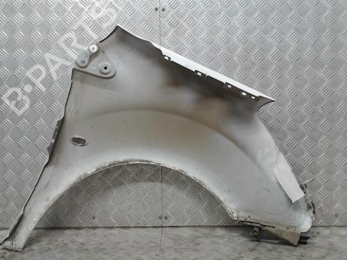 Left front fenders RENAULT CLIO III (BR0/1, CR0/1) 1.5 dCi | BP23054049C41 