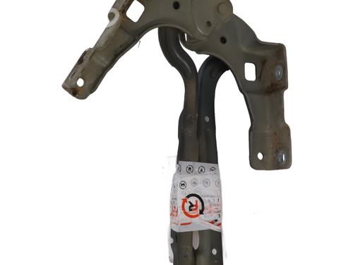 Hinge/Door check strap CITROËN C4 II (NC_) 1.6 HDi 110 | BP32187275C146