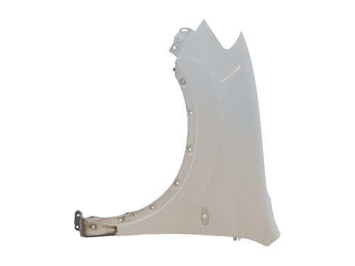 Used Left front fenders NISSAN QASHQAI / QASHQAI +2 I (J10, NJ10, JJ10E) 2.0 dCi (150 hp) 25491993