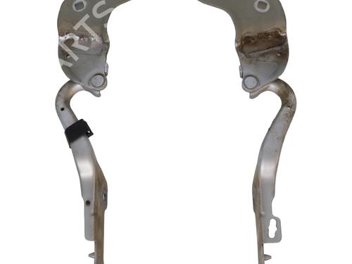 Hinge/Door check strap RENAULT CLIO III (BR0/1, CR0/1) 1.5 dCi (C/BR0G, C/BR1G) | BP29281548C146 