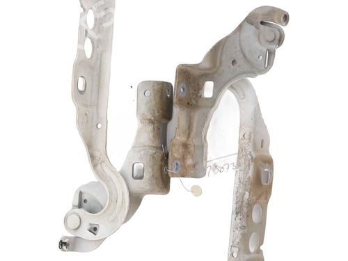Hinge/Door check strap CITROËN C4 II (NC_) 1.6 HDi 115 | BP26580595C146 