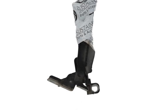 hingedoor-check-strap-citroen-c3-ii-sc_-2009-32687661 main image