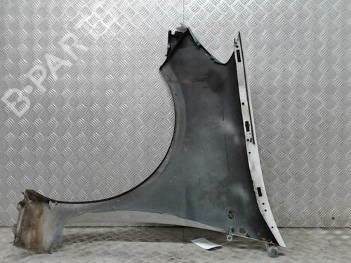 Right front fenders RENAULT CLIO III (BR0/1, CR0/1) 1.5 dCi (C/BR0G, C/BR1G) | BP23056567C42 