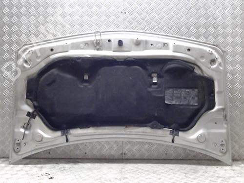 Used Hood RENAULT MEGANE II (BM0/1_, CM0/1_) 1.5 dCi (BM1E, CM1E) (106 hp) 23059224