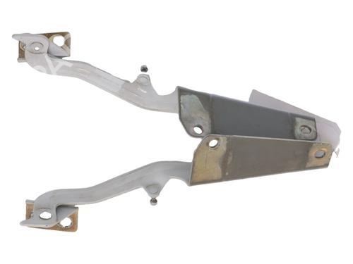 Used Hinge/Door check strap Hinge/Door check strap RENAULT KANGOO Express (FW0/1_) [2008-2026] 36556439 36556439