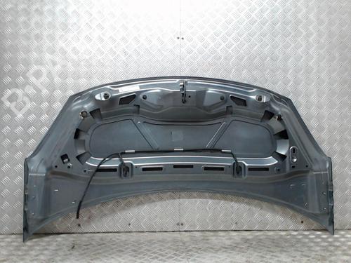 hood-citroen-ds3-sa_-2009-2010-2011-2012-2013-2014-2015-2016-23835256 main image