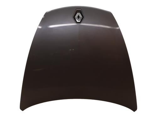 Motorhjelm RENAULT LAGUNA Coupe (DT0/1) 2.0 dCi (DT01, DT08, DT09, DT0K, DT12, DT1C, DT1D, DT1M,... (150 hp) 30862686