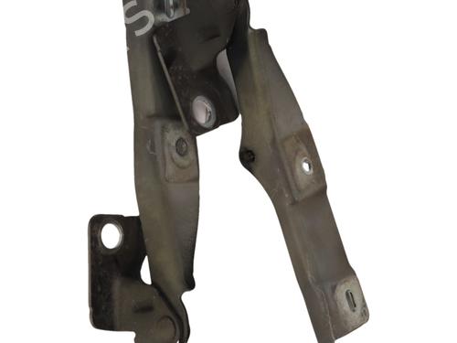 hingedoor-check-strap-citroen-ds3-sa_-2009-2010-2011-2012-2013-2014-2015-2016-38056705 main image