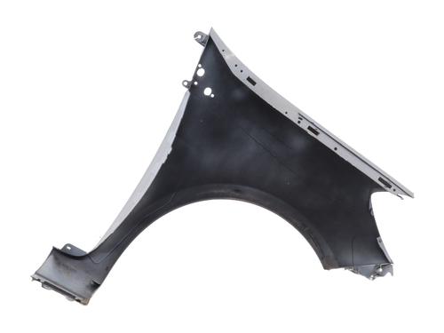 Left front fenders RENAULT CLIO III (BR0/1, CR0/1) 1.5 dCi (C/BR0G, C/BR1G) | BP29372164C41 