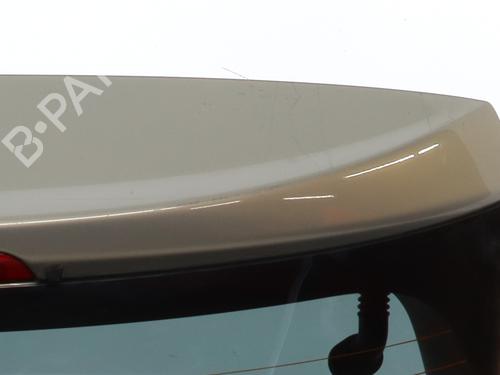 Tailgate RENAULT KOLEOS I (HY_) 2.0 dCi 4x4 (HY0B) | BP23835683C6 