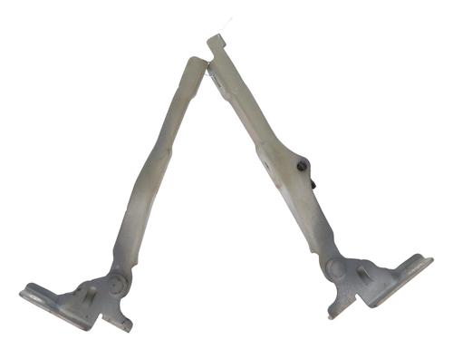 hingedoor-check-strap-citroen-c3-ii-sc_-2009-26507383 main image