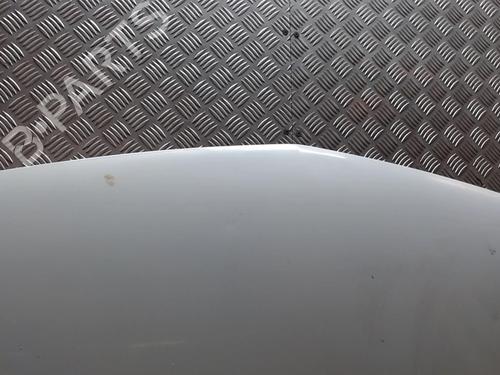 Used Hood RENAULT KANGOO Express (FW0/1_) 1.5 dCi 70 (FW0A, KW0V) (68 hp) 23057213